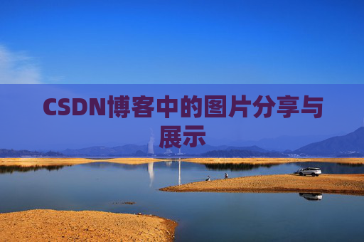 CSDN博客中的图片分享与展示